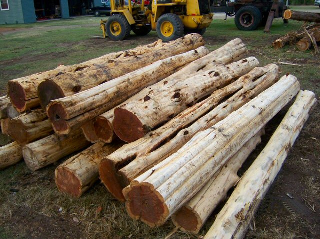 Cedar Hardwood