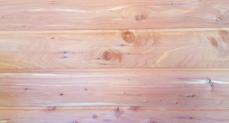 wall